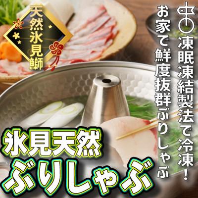 ふるさと納税 氷見市 氷見天然ブリしゃぶしゃぶ用300g〈凍眠凍結〉
