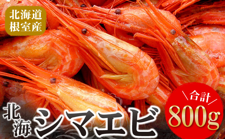 ＜12月21日決済分まで年内配送＞【北海道根室産】北海シマエビ800g(80～130尾) A-56014