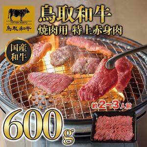 鳥取和牛 焼肉用 特上赤身肉 600g KT020-003