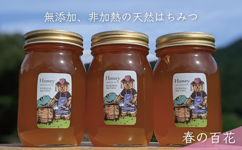 【先行予約 2025年6月20日より発送】合計1800g 天然蜂蜜 国産蜂蜜 非加熱 生はちみつ 岐阜県 美濃市産 春 (蜂蜜600g入りガラス瓶3本セット)A7 深田養蜂のハチミツ