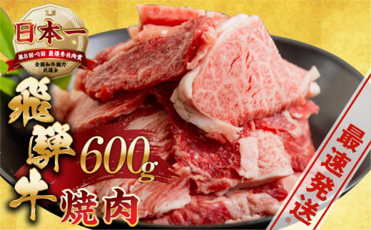 【5月発送】【訳あり】飛騨牛 焼肉 切り落とし 600g | 牛肉 肉 切落し わけあり ワケアリ 不揃い 冷凍 すぐ届く 本巣市 トキノ屋 食品 訳有 焼肉セット 焼肉用  [mt505] 1500