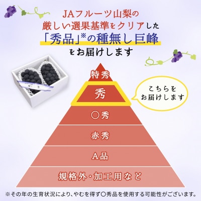 種なし巨峰(2房)【配送不可地域：離島】