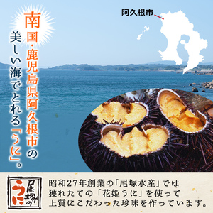 ＜鹿児島県産うに使用＞うに醤(魚醤)とうにみそで贅沢うにぎりセット(2種)国産 無添加 防腐剤不使用 ウニ 雲丹 魚介 魚貝 海産物 水産加工品 詰め合わせ 瓶詰 ギフト 贈り物【尾塚水産】akn00