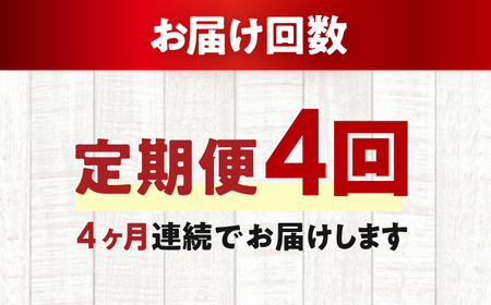 【4回定期便】王道なめらかプリン / プリン プリン プリン 小浜市 / 志保重 【配送不可地域：離島】[BFBF018]