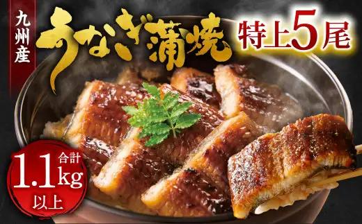 九州産 うなぎ 蒲焼 特上 5尾 計1.1kg以上 (1尾あたり220～235g)【2026年9月発送】