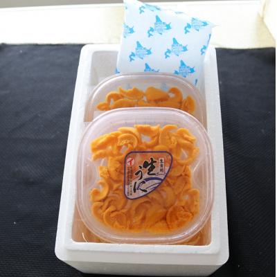 ふるさと納税 根室市 ムラサキウニ無添加塩水パック110〜120g×2P B-71023 |  | 01