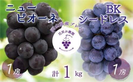 ぶどう 食べ比べ ニューピオーネ&BKシードレス 1kg(2房) 岡山県産ぶどう 【hana026-02】