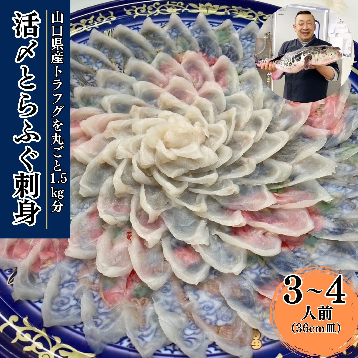 【ふるさと納税】【北海道・東北・沖縄・離島配送不可／着日指定必須】(1日10点限定)2025年11月以降発送 活とらふぐ刺身 3～4人前 ふぐ 刺身 ふぐ刺し フグ トラフグ 山口県産 ちり 皮湯引き ひれ 特性ポン酢 あら ちり鍋 ネギ もみじおろし 雑炊