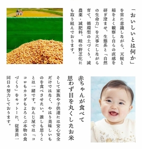 《先行予約 ９月中旬より順次発送予定》 令和6年産 新米 ミルキークイーン 精米 20kg ／ おんじ屋 お米 白米 三重県 度会町 伊勢志摩