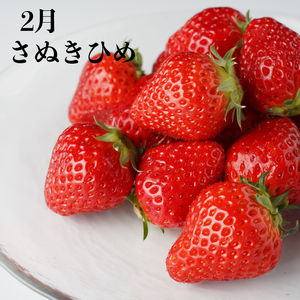 果物を贅沢に味わう 丸亀のフルーツ定期便 全6回 キウイ いちご 不知火 桃 シャインマスカット みかん さぬきひめ  フルーツ 定期便