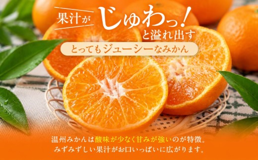 訳あり 小玉みかん 5kg | 果物 みかん くだもの みかん フルーツ みかん 柑橘 みかん 柑橘類 みかん ミカン 家庭用 みかん 熊本県 みかん 玉名市 みかん