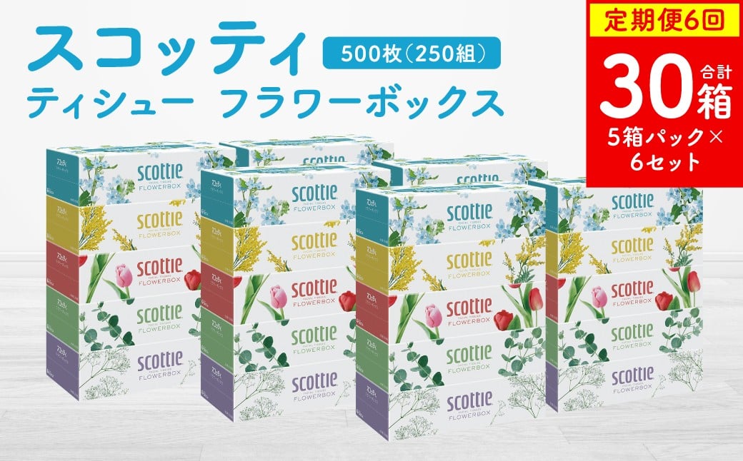 
            【定期便6回】【毎月お届け】【スコッティ】ティシュー フラワーボックス 250組 5箱パック×6セット 合計30箱 ティッシュ 日用品 生活必需品 消耗品 紙 まとめ買い 備蓄 防災備蓄 ストック デザインボックス
          