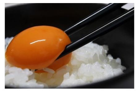 【3ヶ月定期便】せせらぎ卵 50個 〈丹波市産〉 鶏卵 定期便