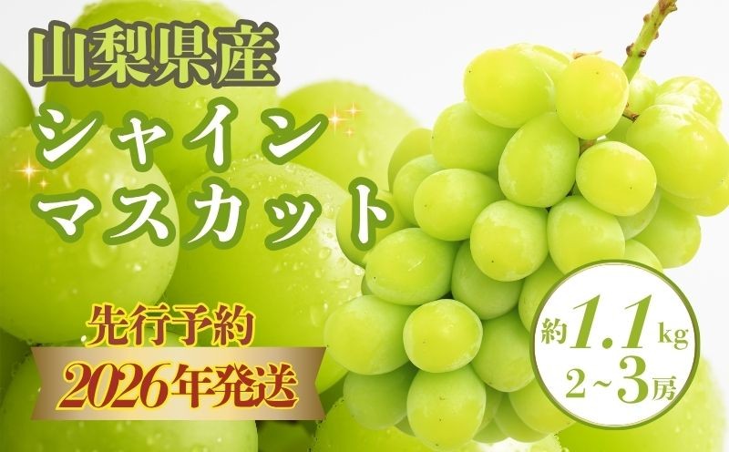 【2023年 先行予約】山梨県産シャインマスカット 1.1kg (２房～3房) 数量限定