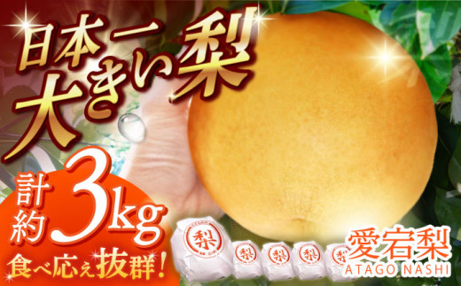 【12月上旬発送開始】愛宕 梨 約3kg (3玉～5玉) フルーツ 果物 なし ナシ くだもの 旬 甘い 果汁 果実 広川町 / 亀井通産（株） [AFAR025]