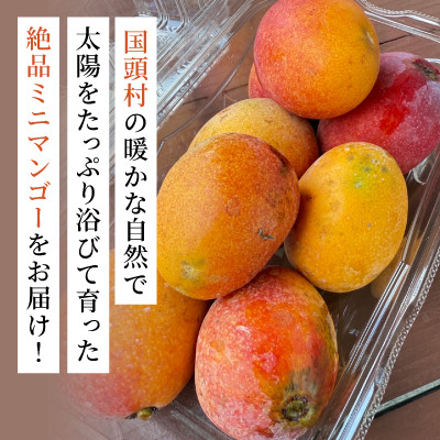 【2025年7月から順次発送】数量限定の訳ありミニマンゴー2kg【配送不可地域：離島】