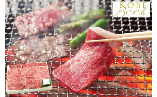 
神戸の老舗精肉店が厳選！神戸ビーフ「おまかせ焼肉セット800g」【牛脂付】
