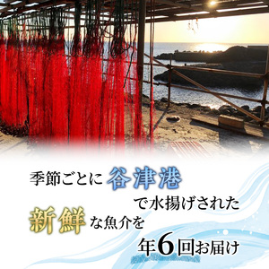 伊勢海老 アワビ サザエ 定期便 年6回 海からのお届け物 ワカメ ひじき はんばのり 干物 伊勢エビ さざえ あわび わかめ 海苔 のり 天草 煮魚 惣菜 えび 鮑 貝 魚 魚介 魚介類 海鮮 海鮮