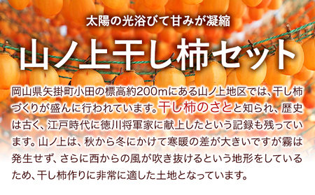 先行予約 山ノ上 干し柿 セット 《12月中旬-1月上旬頃出荷》水車の里フルーツトピア岡山県矢掛町産 柿 果物 フルーツ 干柿餅
