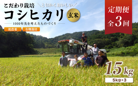 【R7年産 新米先行予約】 【定期便3回】有機栽培コシヒカリ玄米 15kg 低農薬 3ヶ月  玄米