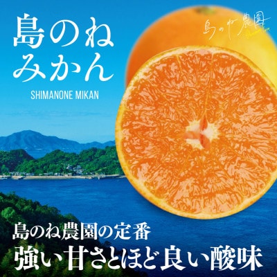 島のね農園 みかん 家庭用 5kg【KB01630】