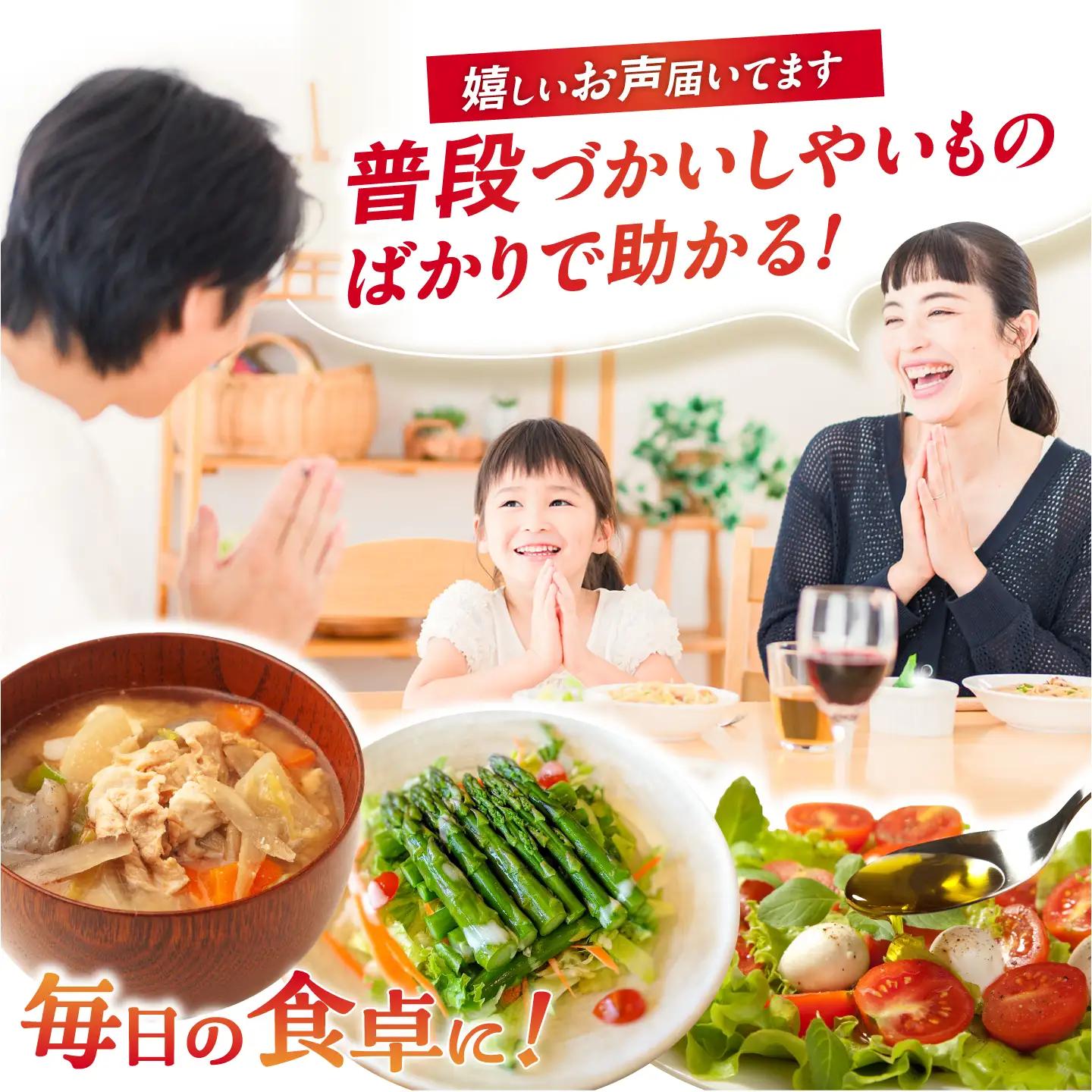 野菜 6回定期便 諫早産野菜の詰め合わせ8・9品目程度[AHDI002]