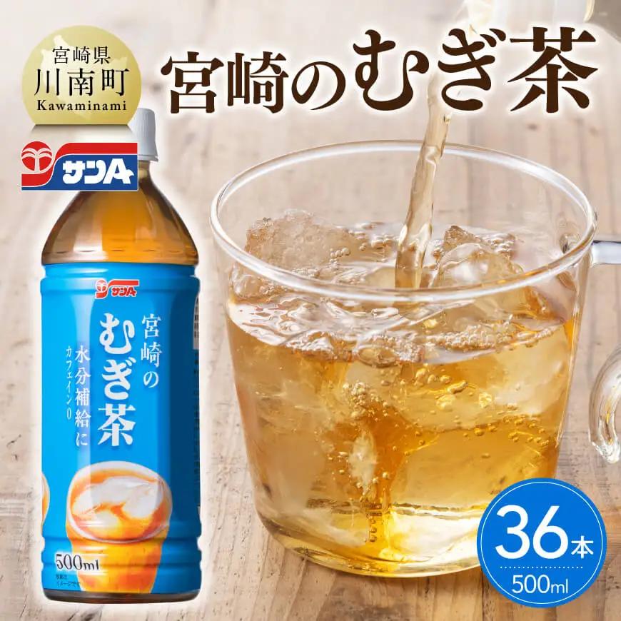 サンA宮崎のむぎ茶　500ml PET18本入り×2ケース【 お茶 麦茶 宮崎県産 ペットボトル 】