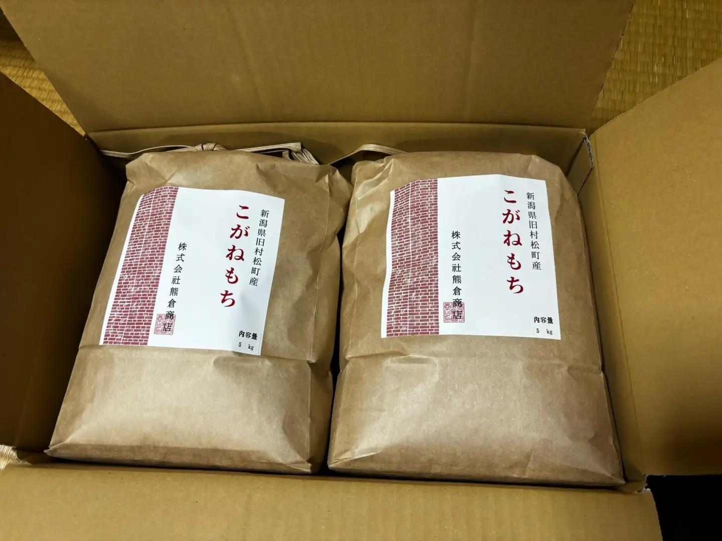 【先行予約】令和8年産 もち米 こがねもち 10kg(5kg×2袋) 新潟県五泉市産(旧村松町産) | 餅 赤飯 おこわ 米