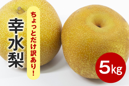 【先行販売/8月中旬から発送】 幸水 梨 ちょっとだけ訳あり 5kg箱 10～16個入 (アカツファーム)  ナシ なし 幸水梨 箱 訳あり 訳アリ 産地 茨城  笠間  完熟 甘い 秋 旬 果物 フルーツ 果汁 新鮮 デザート くだもの ジューシー 秋の味覚 旬の果物 産地直送 茨城県 笠間市 GA-010