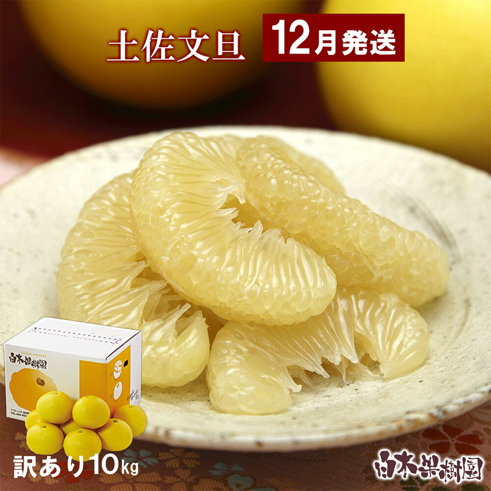 【ふるさと納税】【12月発送土佐文旦】文旦 訳あり 2~4L 約10kg 約10キロ(16~20個入り) 温室土佐文旦 お得箱 ブンタン ぶんたん 土佐文旦 ハウス文旦 フルーツ 果物 くだもの 柑橘 旬 お取り寄せ 常温 配送 高知県土佐市産 高知県 土佐市 ふるさとのうぜい 故郷納税 返礼品