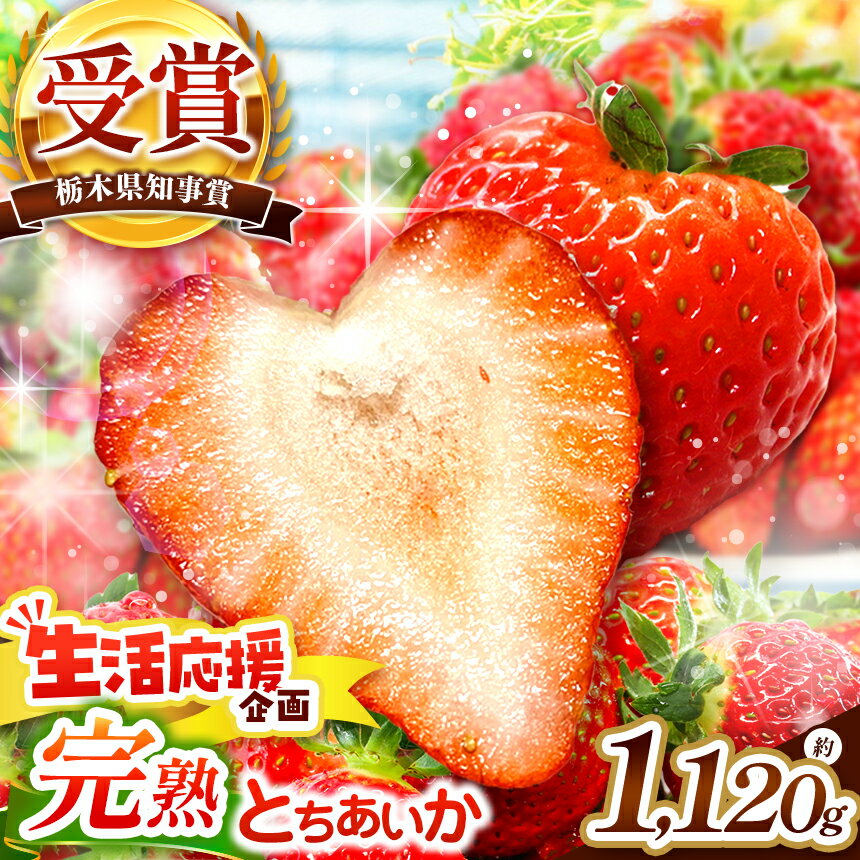 【ふるさと納税】いちご 苺 とちあいか 1120g【2027年先行予約】幸せを呼ぶ ハート型 新定番 とちあいか 4P | いちご イチゴ 苺 フルーツ お取り寄せ プレゼント 贈答 人気 高評価 おいしい ハート形 とちあいか 果物 産地直送 栃木県産 栃木県 矢板市 澳原いちご農園