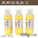 【ふるさと納税】竹内養蜂の蜂蜜1種(みかん3本) 各400g プラスチック便利容器【1488860】