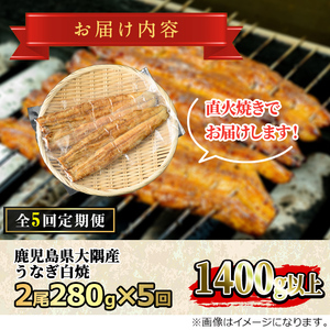 【0133711b】＜定期便・全5回(連続)＞鹿児島県産東串良町のうなぎ白焼(2尾・計280g以上×5回) うなぎ 高級 ウナギ 鰻 国産 白焼き 鹿児島 【うなぎ太郎】