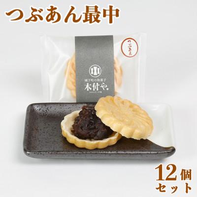 ふるさと納税 杵築市 和菓子 木付やのつぶあん最中(もなか)12個セット