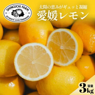 ふるさと納税 八幡浜市 【先行予約 2027年発送】愛媛育ちのレモン 3kg 防腐剤・ワックス不使用【C70-20】