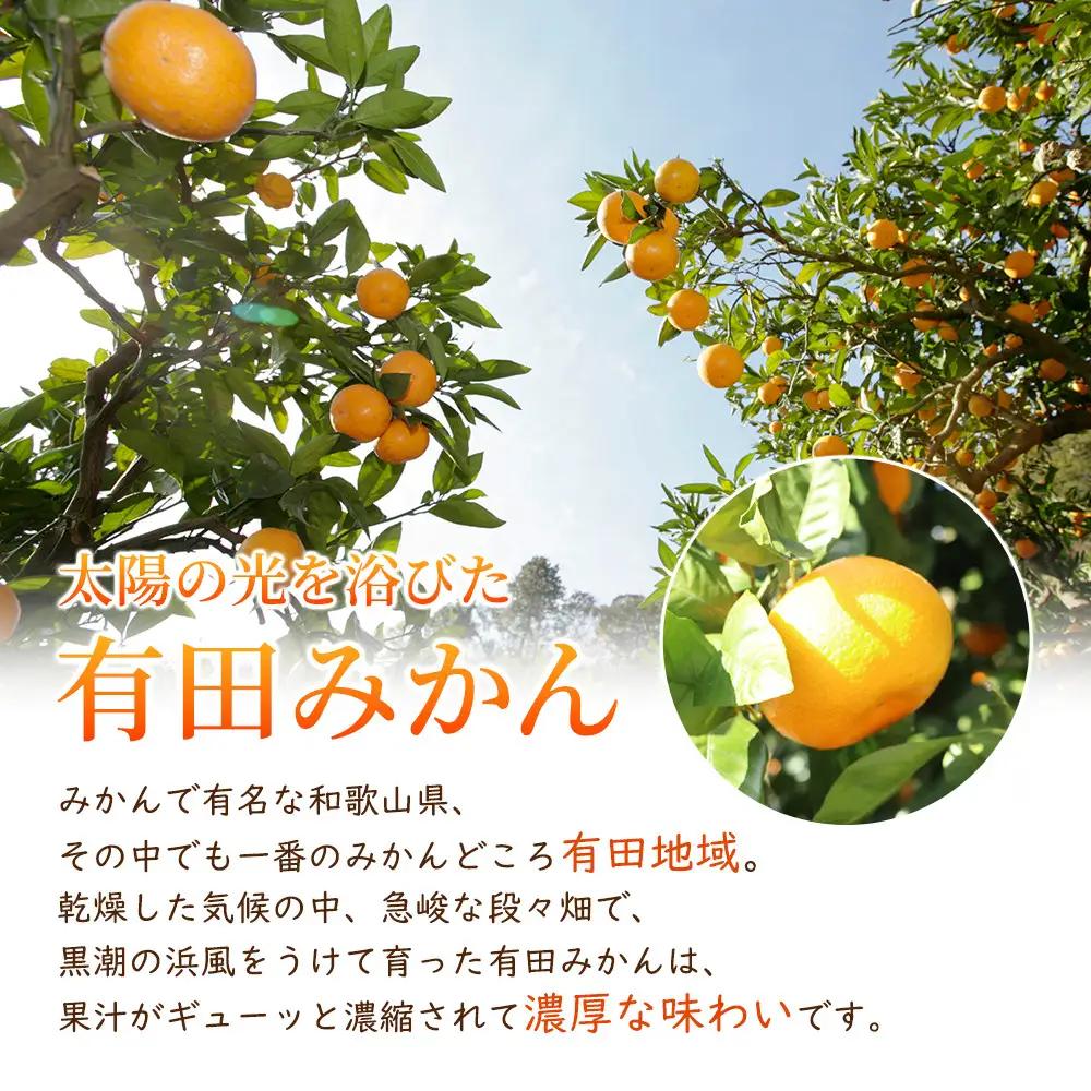 ［先行予約］プレミアム 有田みかん5kg+250g（傷み補償分）［2026年10月初旬から2027年1月末日頃順次発送予定］［IKE250］