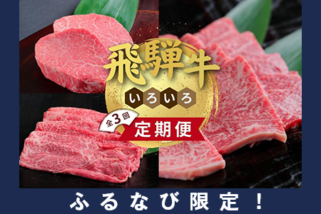 【ふるなび限定】【定期便】飛騨牛いろいろ定期便 3ヶ月Bセット ※離島への配送不可 FN-Limited-SP