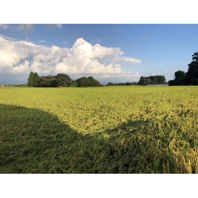 ふるさと納税 那須塩原市 【那須塩原ブランド認定品】プロポリス米(玄米・5kg) |  | 01