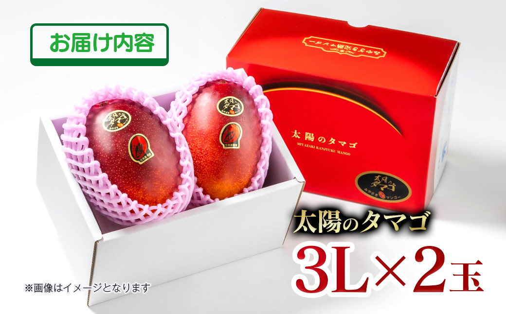 6月発送【先行予約】最高級ブランド『太陽のタマゴ』3L×2個【糖度15度以上】宮崎県西都市産完熟マンゴー＜68-2b＞宮崎マンゴー 果物 フルーツ 甘い 6月発送　太陽のタマゴ　3L×2