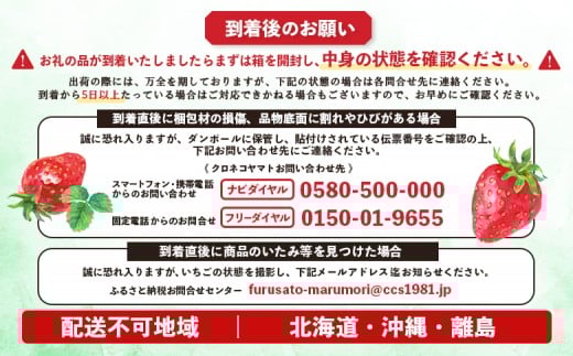 宮城県産いちご「にこにこベリー」約500ｇ（250ｇ×2）