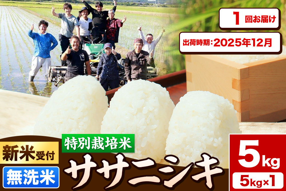 《新米受付》令和7年産【無洗米】特別栽培米 ササニシキ 5kg 秋田県産【2025年12月出荷】