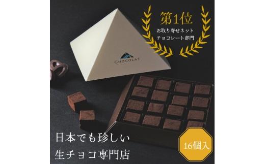 生チョコレートプレーンセット 16個入 312011_DD005