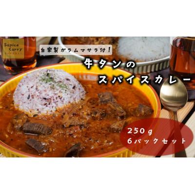 ふるさと納税 福津市 【本格】牛タンのスパイスカレー　250g×6パック[F4468s]