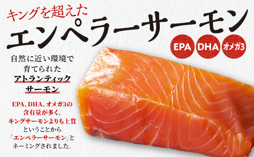 エンペラーサーモン 900g サーモン 鮭 小分け エンペラー を超えた キングサーモン アトランティックサーモン さけ サケ 魚 ふるさと 海鮮 海鮮食品 魚介類 魚介 刺身 カルパッチョ ムニエル