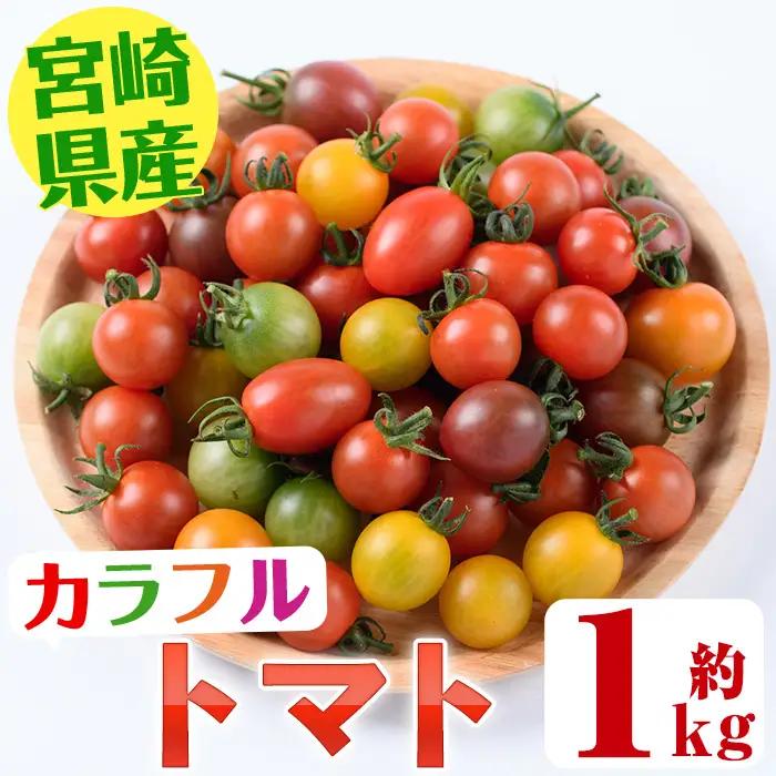 カラフルトマト食べ比べセット(約1kg)  国産 野菜【KT-9】【K.Tfarm】