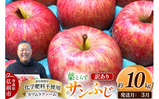 【27年3月クール便発送】りんご 葉とらず サンふじ【訳あり】約10kg【先行受付】カワムラファーム 青森県 弘前市 果物 フルーツ 林檎 リンゴ くだもの 不揃い 規格外 [先行予約 クール便 産地直送 アップル おいしい 果実 美味 甘い 赤色]