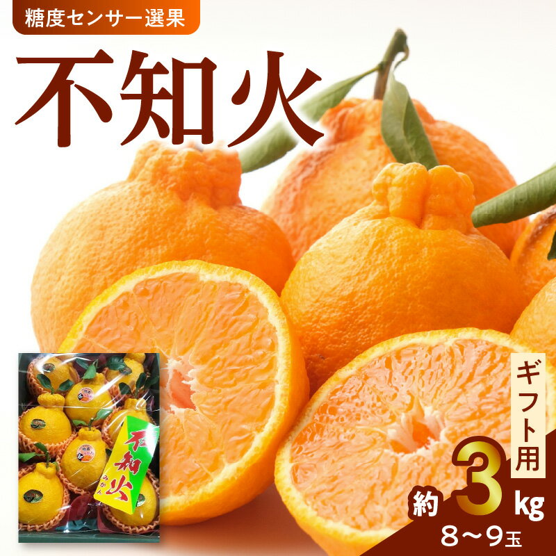 【ふるさと納税】不知火 約 3kg 8〜9玉 ギフト用 糖度センサー選果 プレゼント 贈り物 贈答 デコポン 柑橘 果物 フルーツ 果実 甘い 酸味 国産 常温 熊本 九州 食品 お取り寄せ お取り寄せフルーツ 送料無料 【熊本県宇土市】