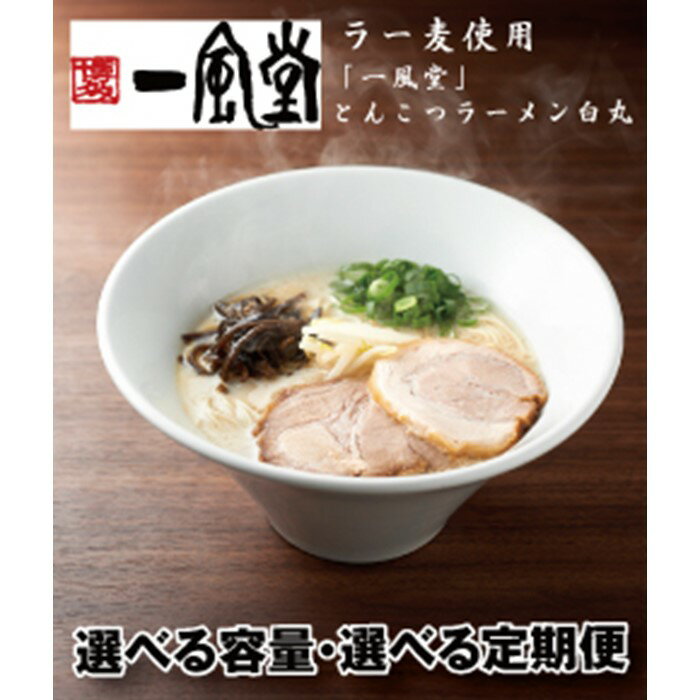 【ふるさと納税】一風堂白丸ラー麦麺セット とんこつ ストレート 有名 専門店 本場 豚骨スープ【豚骨ラーメン】（選べる容量）