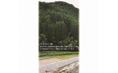 国産ベチバーのハンド・マスク用スプレー・安眠ピロースプレー・化粧水とドライハーブのセット　081-005