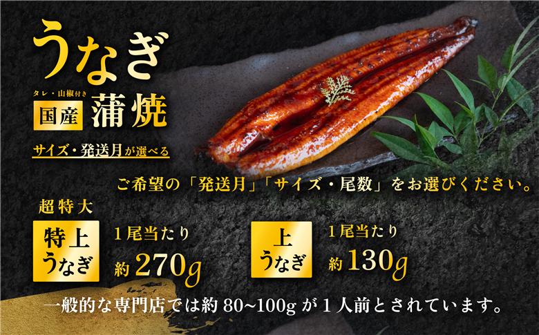 【 09月発送 】 国産 うなぎ蒲焼 特上うなぎ2尾 合計550g以上 タレ・山椒付き 鰻 ウナギ たれ タレ たっぷり うな重 鰻重 ひつまぶし 【09月発送】特上うなぎ2尾(550g以上) | 2